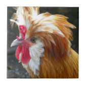 ポーラン赤と白ドチキン タイル (正面)