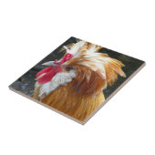 ポーラン赤と白ドチキン タイル (側面)