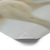 ポーラーベアの笑顔 ポスター (角)