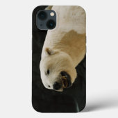 ポーラーベアの笑顔 Case-Mate iPhoneケース (裏面)