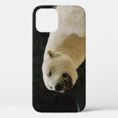 ポーラーベアの笑顔 Case-Mate iPhoneケース (裏面)