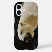 ポーラーベアの笑顔 Case-Mate iPhoneケース (裏面)