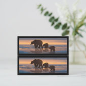 ポーラーベアファミリーのしおり ポストカード (スタンド正面)