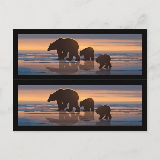 ポーラーベアファミリーのしおり ポストカード (正面)