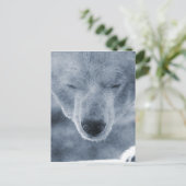 ポーラーベアポートレート ポストカード (スタンド正面)