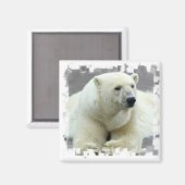 ポーラーベアースクエアマグネット マグネット (正面/裏面)