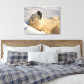 ポーラーベア昼寝 キャンバスプリント (インサイチュ (寝室))