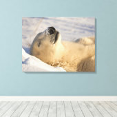 ポーラーベア昼寝 キャンバスプリント (インサイチュ (ウッドフロア))