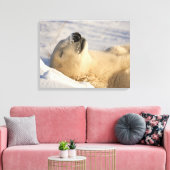 ポーラーベア昼寝 キャンバスプリント (インサイチュ (リビング))