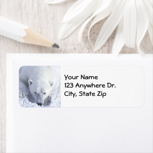 ポーラーベア昼寝 ラベル (インサイチュ)