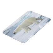 ポーラーベア歩く（ノルウェー） マグネット (左側)