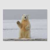 ポーラーベア磁気カード (正面)