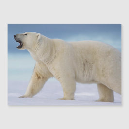 ポーラーベア磁気カード