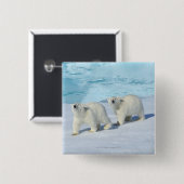 ポーラーベア、パック氷の2カップ、ウルサス 缶バッジ (正面&裏面)