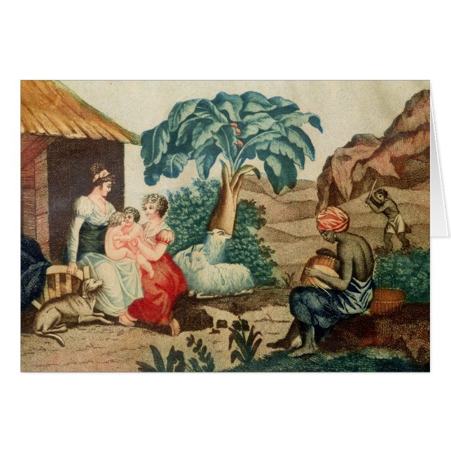 ポールおよびVirginieの幼年期 (正面横)