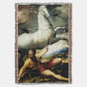 ポールの転換 スローブランケット (正面縦)