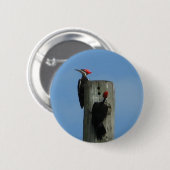 ポールの鳥 缶バッジ (正面&裏面)