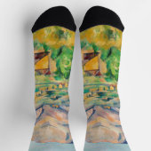 ポールセザンヌモントサントビクトワール ソックス (上部)