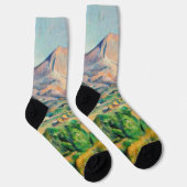 ポールセザンヌモントサントビクトワール ソックス (右)