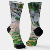 ポールセザンヌ – モンサントビクトワールとラージパイン ソックス (傾斜あり)