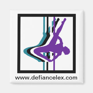 ポールフィットネスシルエットマグネット マグネット