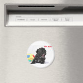 ポールムームフランゾシシュブルドッゲ磁石 マグネット (インサイチュ (食洗機))
