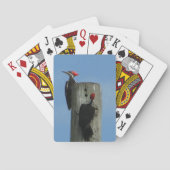 ポール写真にポーズを取る木ペッカー トランプ (裏面)