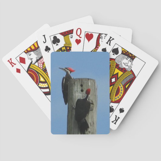 ポール写真にポーズを取る木ペッカー トランプ (裏面)