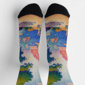 ポール・シニャック – カポ・ディ・ノリ ソックス (上部)