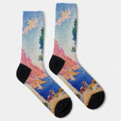 ポール・シニャック – カポ・ディ・ノリ ソックス (右)