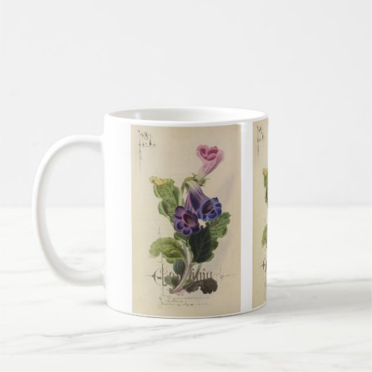 ポール・ジェラードによるシロバナゴクセンの花 コーヒーマグカップ (左)