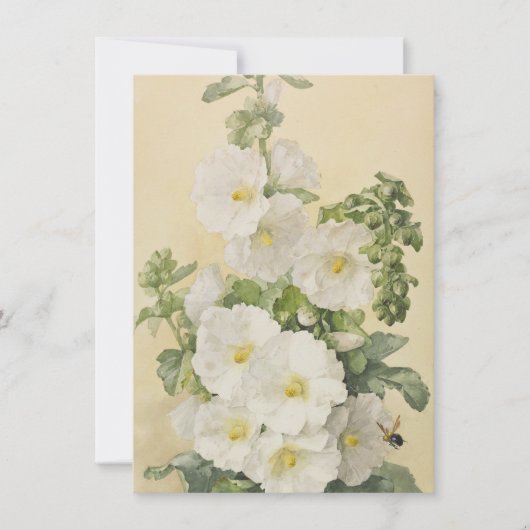 ポール・ド・ロンプレ - ハリホック 1901 招待状 (正面)