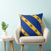 ポール・マッゲヒ「バルバドス国旗」枕 クッション (椅子)