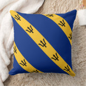 ポール・マッゲヒ「バルバドス国旗」枕 クッション (ブランケット)