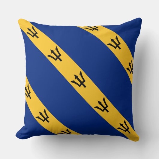 ポール・マッゲヒ「バルバドス国旗」枕 クッション (正面)
