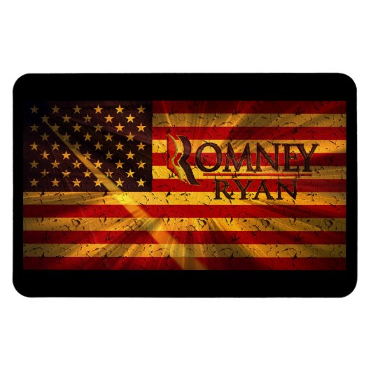 ポール・ライアン磁石 マグネット (横)