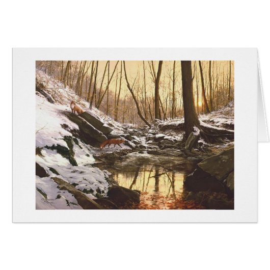 ポールMcGeheeの"アカギツネの入り江"カード (正面横)