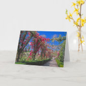 ポーレスデンレイシー カード (黄色い花)