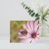 ポーレン ポストカード (スタンド正面)