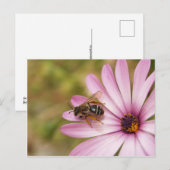 ポーレン ポストカード (正面/裏面)