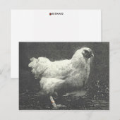 ポーレ ポストカード (正面/裏面)