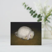 ポー on プレート ポストカード (スタンド正面)