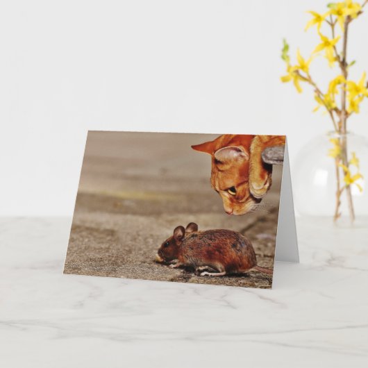 マよくはしゃぐウスあいさつ付きオレンジ空白の猫 カード (黄色い花)