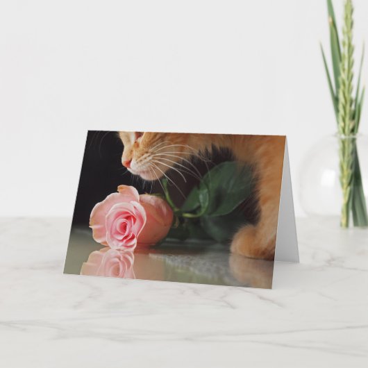 マイおもしろいバレンタイン シーズンカード (正面)