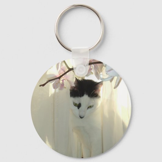 マイかわいらし子猫 キーホルダー (正面)