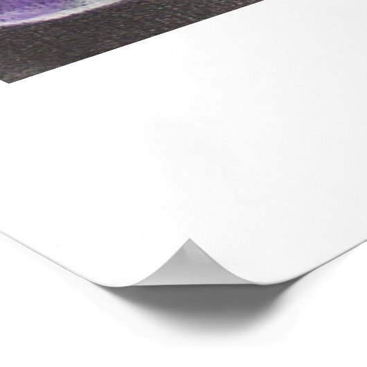 マイアイリス ポスター (角)