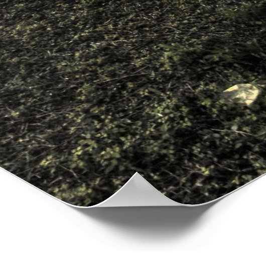 マイアミで無題 ポスター (角)