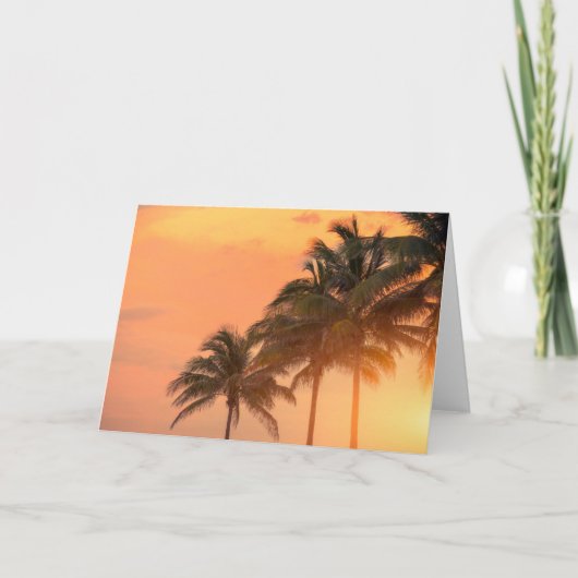 マイアミのやし カード (正面)