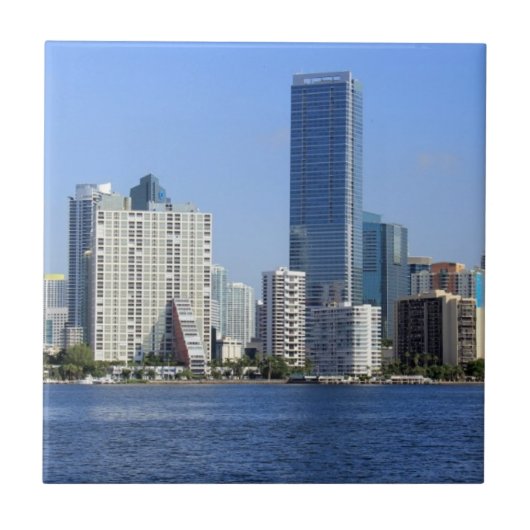 マイアミのスカイラインの眺め タイル (正面)