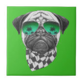マイアミのパグ タイル (正面)